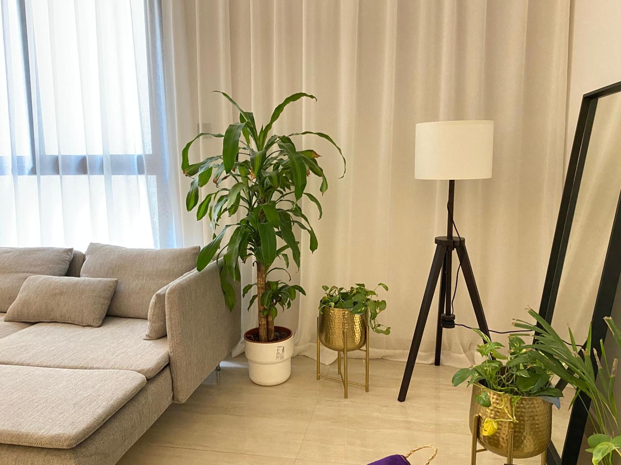 الرياض البوليفارد شقق عبيه Vip الفاخره Exterior foto